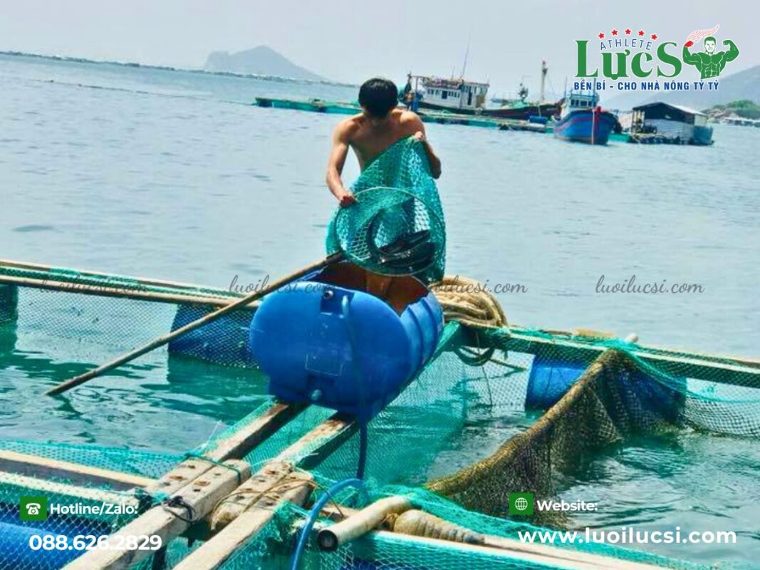 Lực Sĩ – Đơn vị sản xuất Lưới Nuôi Trồng Thủy Sản Uy Tín