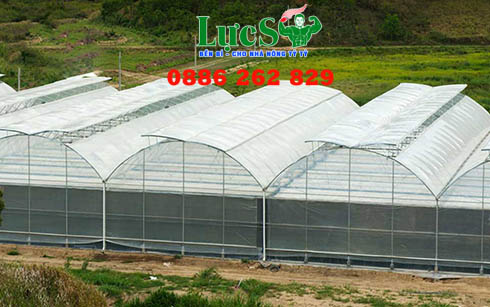 Hệ thống nhà màng trồng rau sạch dưa lưới công nghệ cao  LISADO
