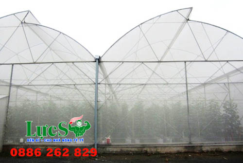 Ưu Điểm Và Cách Làm Nhà Lưới Đơn Giản Để Trồng Rau