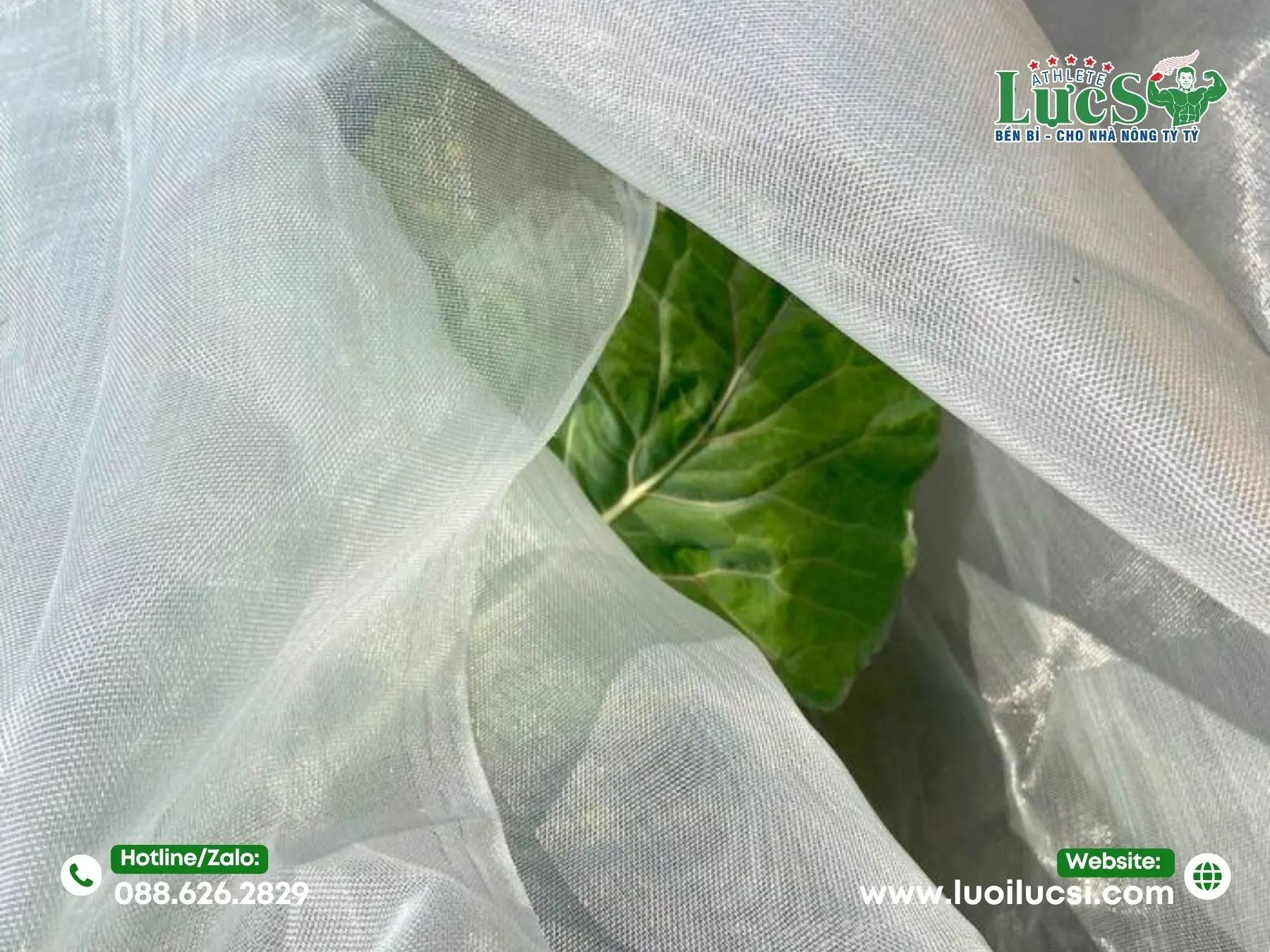 Các Tiêu Chí Chọn Mua Lưới Chắn Côn Trùng Ở Hà Nội Chất Lượng Cao