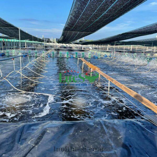 bat lot ho tom hdpe, bat lot ao tom, bat lot nuoi tom