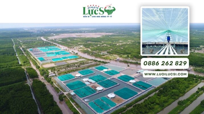 Kỹ Thuật Nuôi Tôm Công Nghệ Cao Trong Nhà Màng, Nhà Lưới