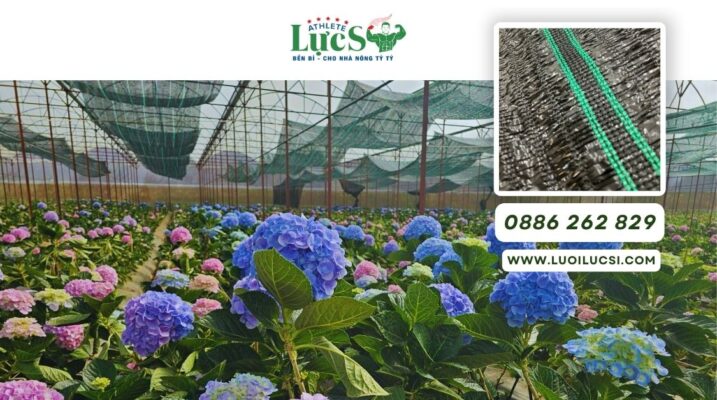 Lưới Che Nắng Nhà Kính - Bí Quyết Duy Trì Nhiệt Độ Lý Tưởng Cho Mọi Loại Cây Trồng