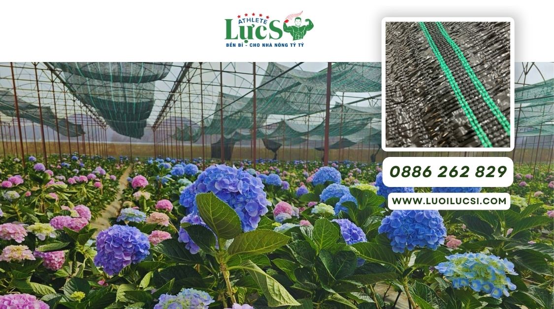 Lưới Che Nắng Nhà Kính - Bí Quyết Duy Trì Nhiệt Độ Lý Tưởng Cho Mọi Loại Cây Trồng