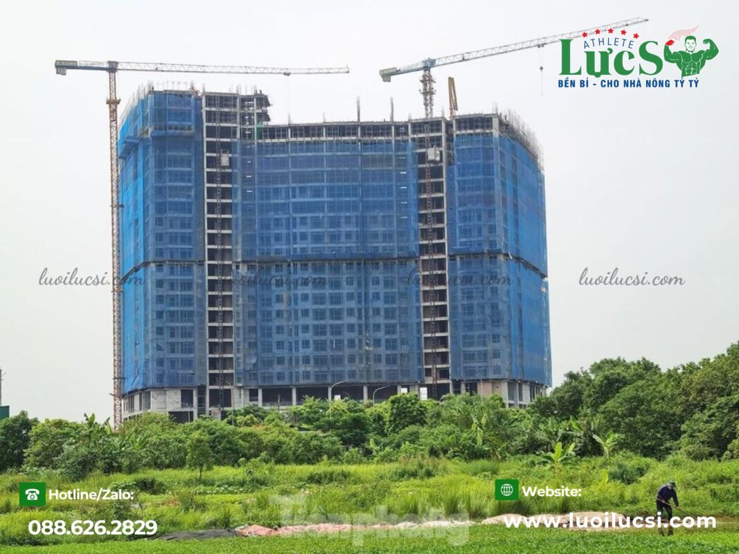 Lực Sĩ - Đối Tác Sản Xuất Lưới Xây Dựng Trực Tiếp, An Tâm Về Chất Lượng và Giá Cả