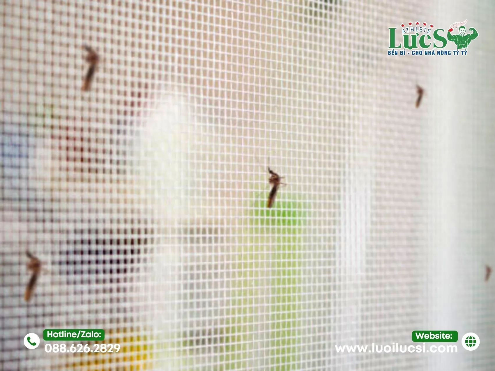 Lưới Chắn Muỗi Chuồng Trại Là Gì? Tại Sao Phải Dùng Lưới Chuyên Dụng?