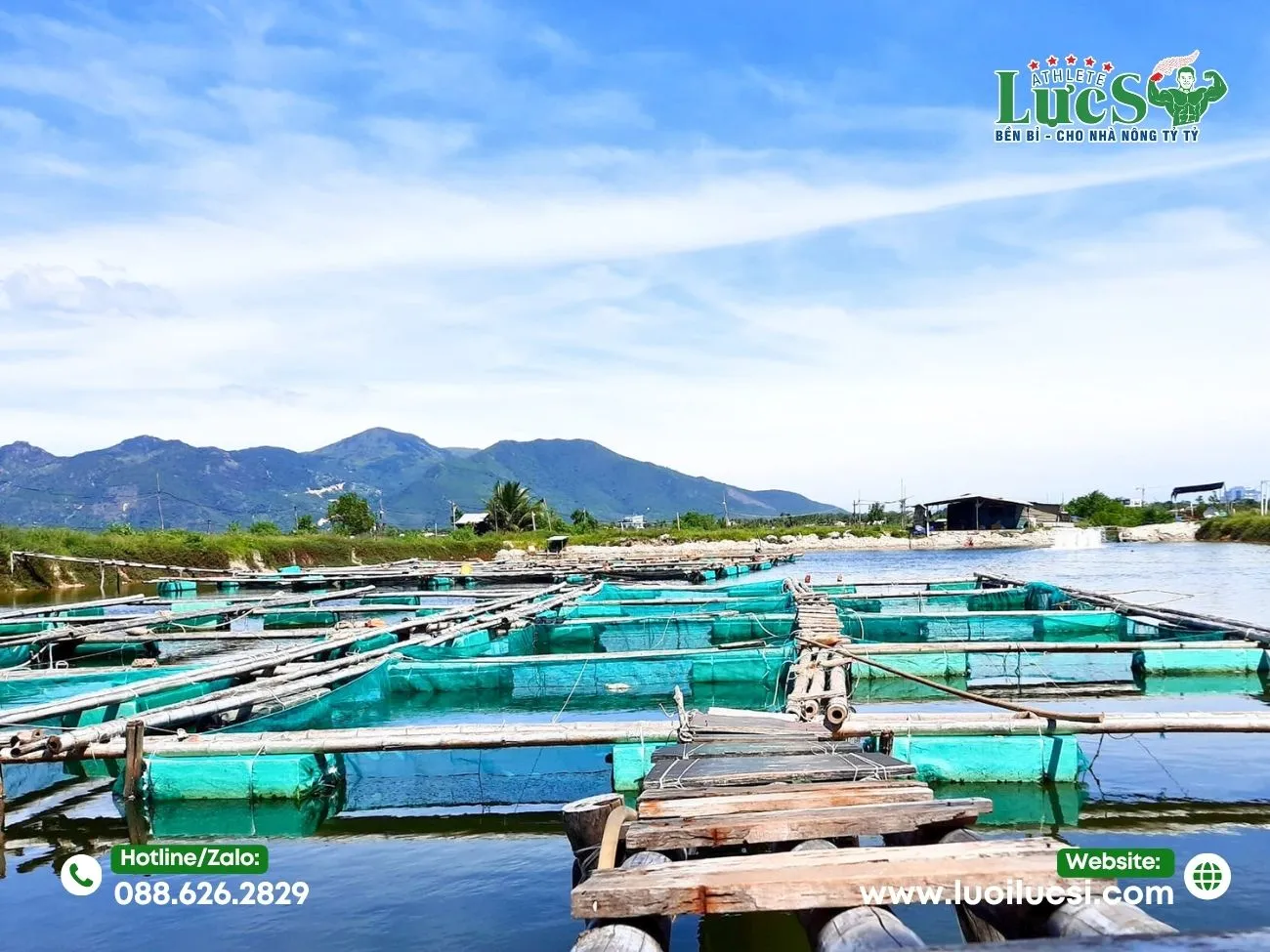 Thách Thức Lớn Của Ngành Nuôi Thủy Sản Hiện Nay