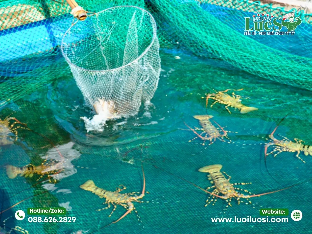 Vì Sao Lưới Cước Ô Vuông Là Giải Pháp Bền Vững Cho Ngành Nuôi Thủy Sản?