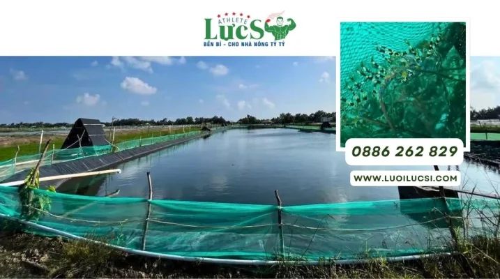 Vì Sao Lưới Cước Ô Vuông Là Giải Pháp Bền Vững Cho Ngành Nuôi Thủy Sản?