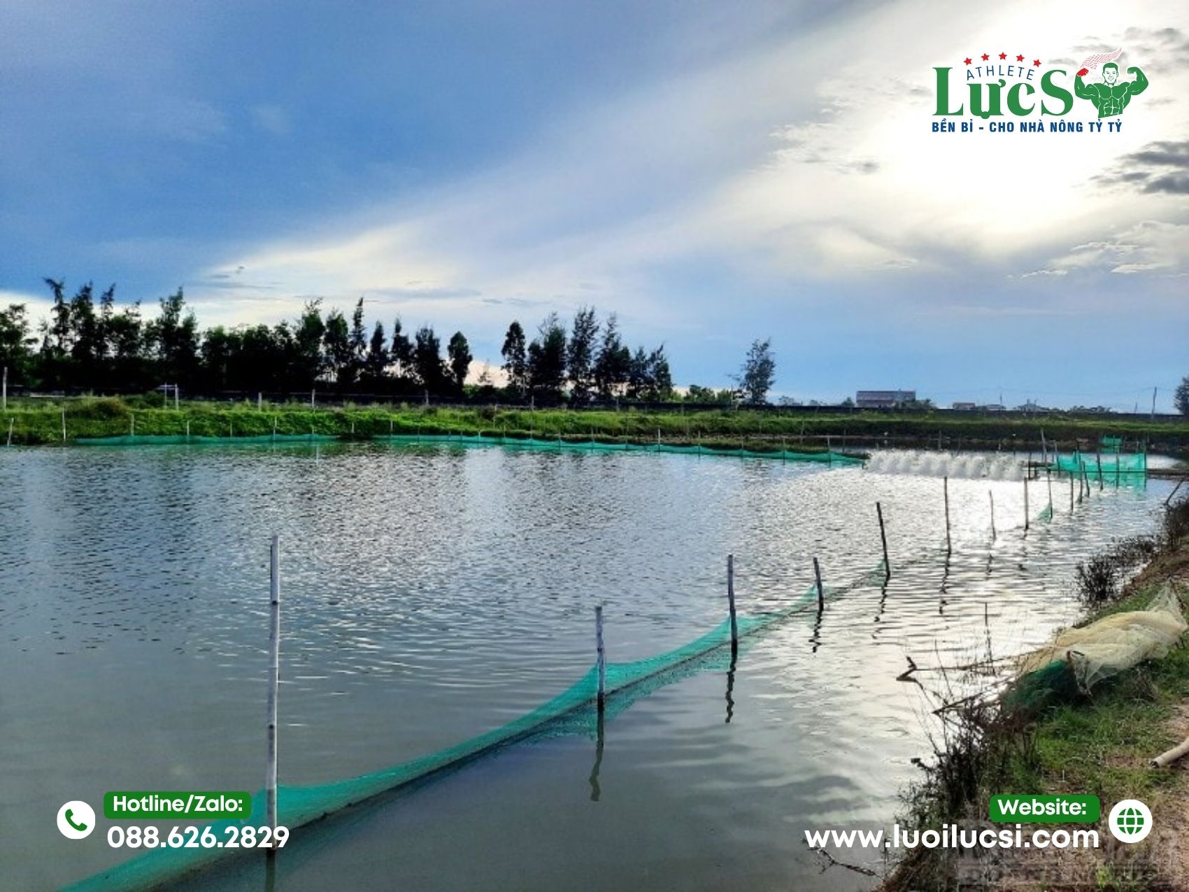 Mô Hình Nuôi Ốc Hương – Giải Pháp Hiệu Quả Cho Ngư Dân Và Doanh Nghiệp Xuất Khẩu