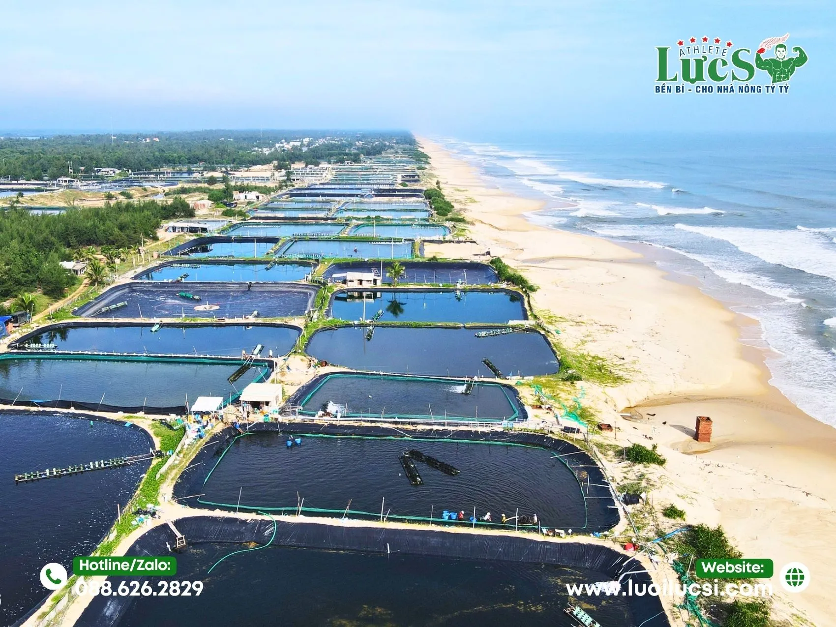 Yếu Tố Thành Công Của Mô Hình Nuôi Ốc Hương