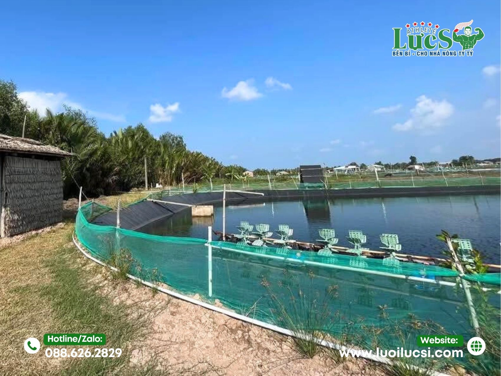 Mô Hình Nuôi Ốc Hương – Giải Pháp Hiệu Quả Cho Ngư Dân Và Doanh Nghiệp Xuất Khẩu