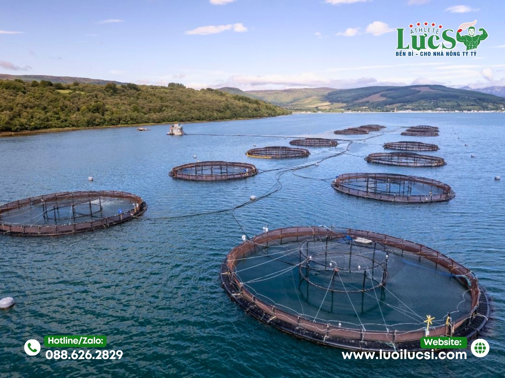 Mô Hình Nuôi Ốc Hương – Giải Pháp Hiệu Quả Cho Ngư Dân Và Doanh Nghiệp Xuất Khẩu