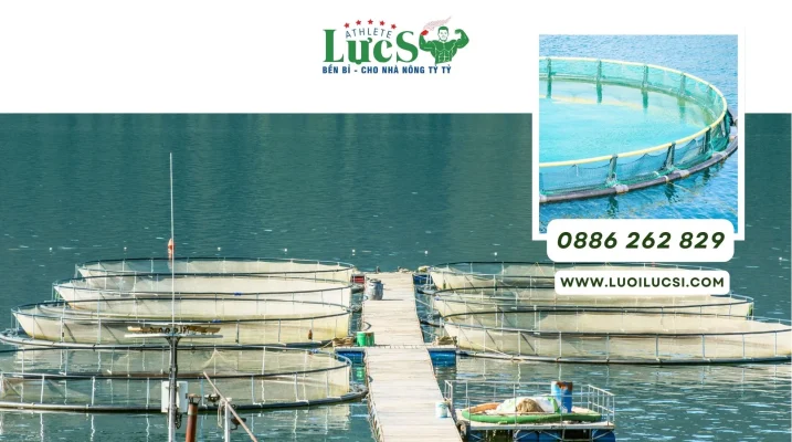 Cung Cấp Lưới Nuôi Cá Giống Cho Trại Ươm Và Dự Án Nuôi Trồng Thuỷ Hải Sản