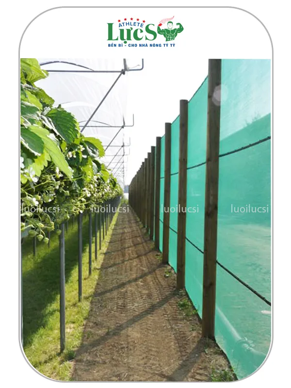 Anti Wind Netting - Heavy, Duty Windbreak & Crop Protection | LUC SI