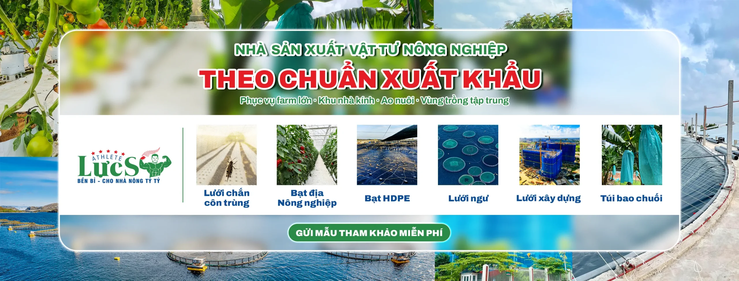 banner luoi bat luc si1 scaled