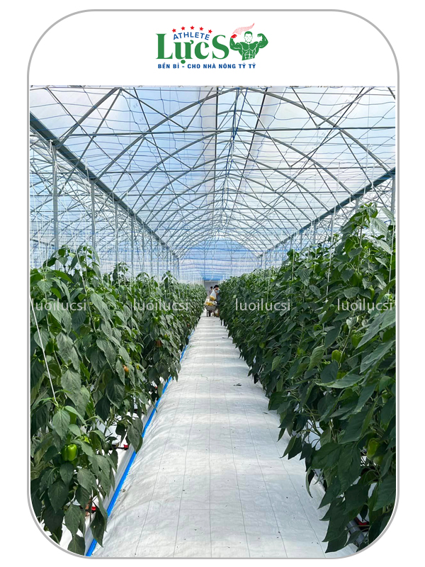 Weed Control Fabric | Woven Ground Cover for Landscaping & Farming