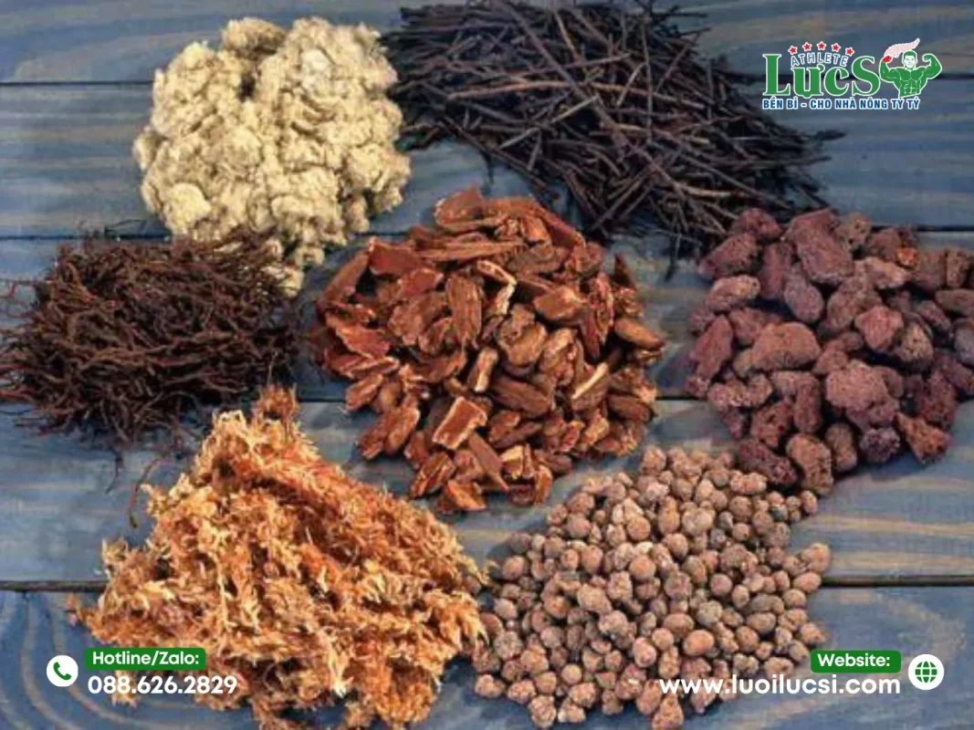 Kỹ Thuật Thay Chậu Lan Hồ Điệp Sau Tết Chuẩn Chuyên Gia 