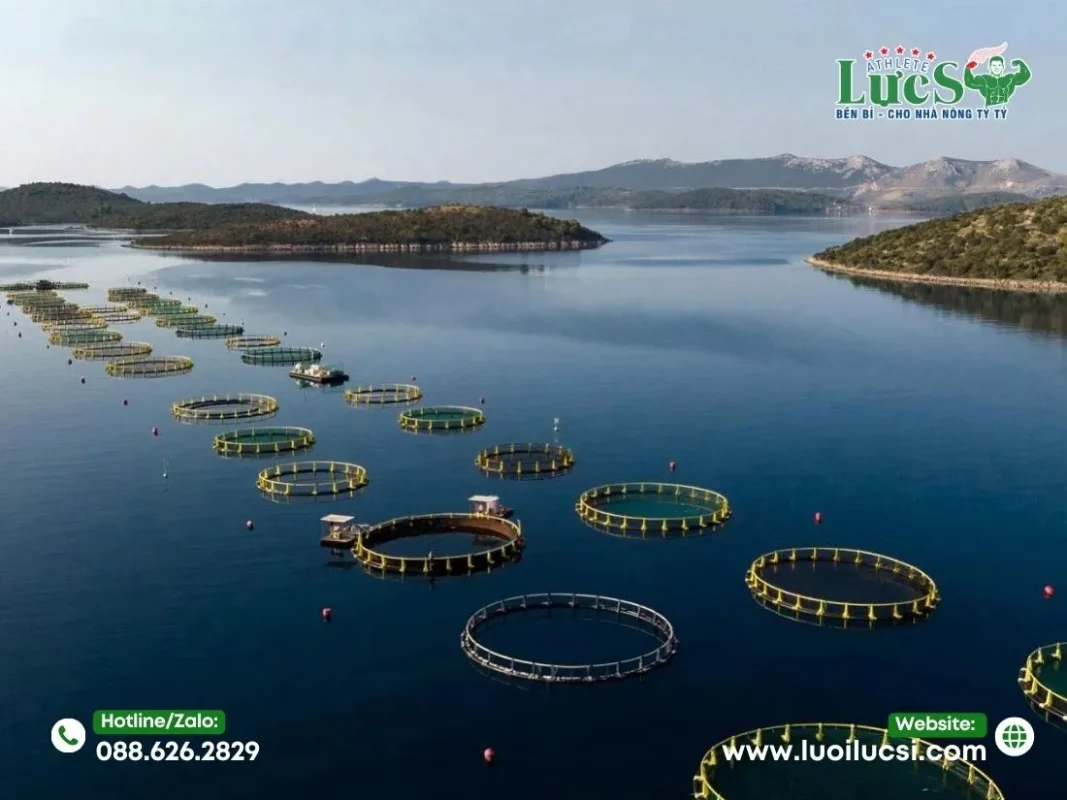 Tiêu Chí Vàng Khi Lựa Chọn Lưới Quây Lồng Bè Nuôi Cá