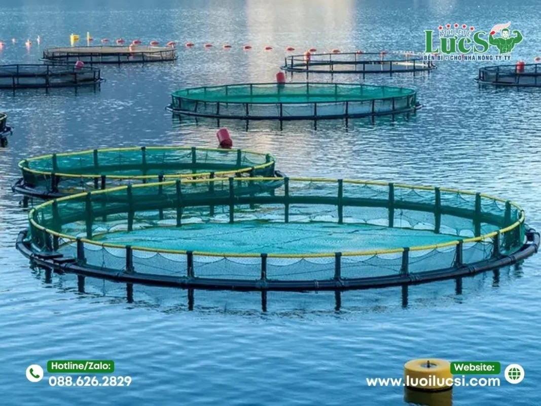 Kinh Nghiệm Vệ Sinh Và Bảo Trì Lưới Quây Lồng Bè