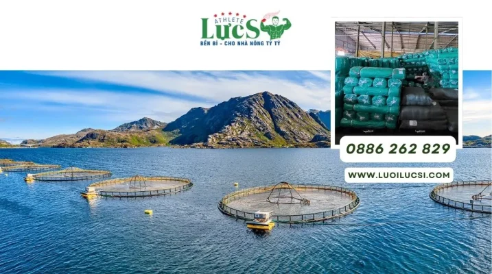 Lưới Quây Lồng Bè Nuôi Cá | Cách Chọn Loại Bền Và Quy Cách