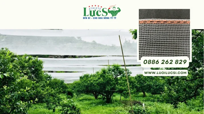 Lưới Chống Mưa Đá Cho Mận Hà Nội – Giải Pháp Khi Giao Mùa Và Hạn Chế Sương Muối Tối Đa