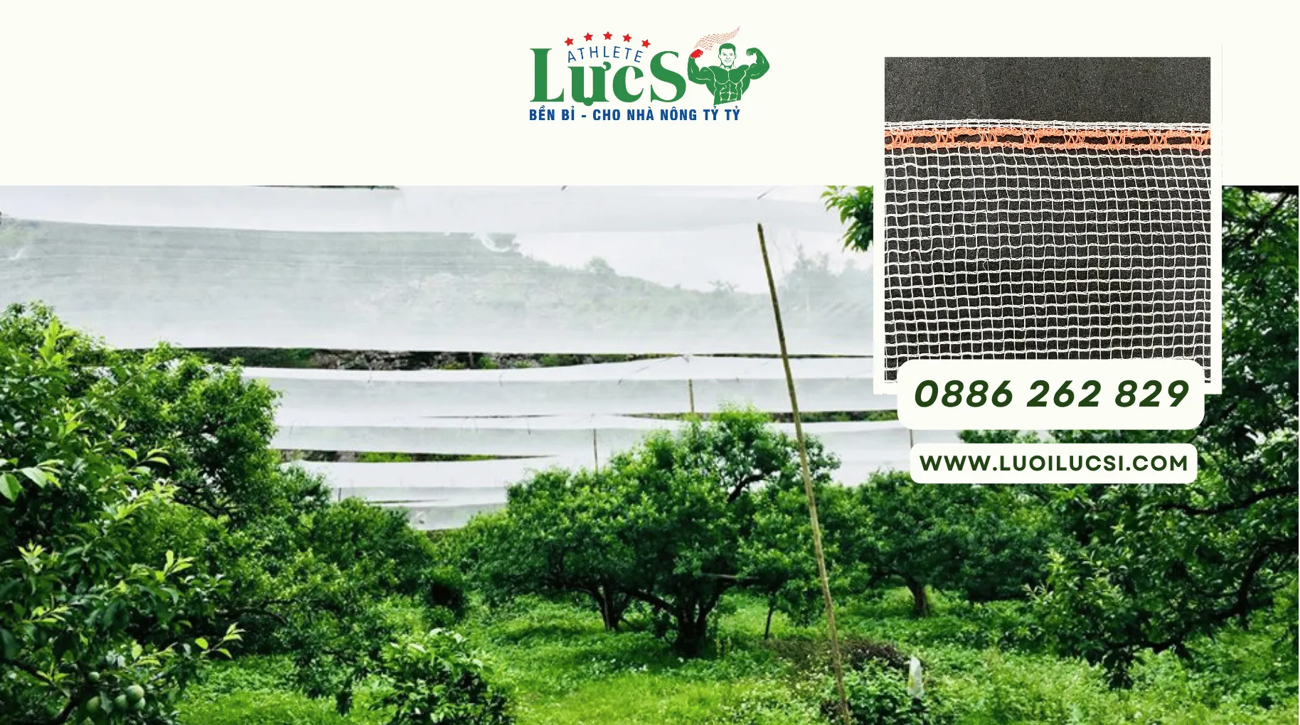 Lưới Chống Mưa Đá Cho Mận Hà Nội – Giải Pháp Khi Giao Mùa Và Hạn Chế Sương Muối Tối Đa