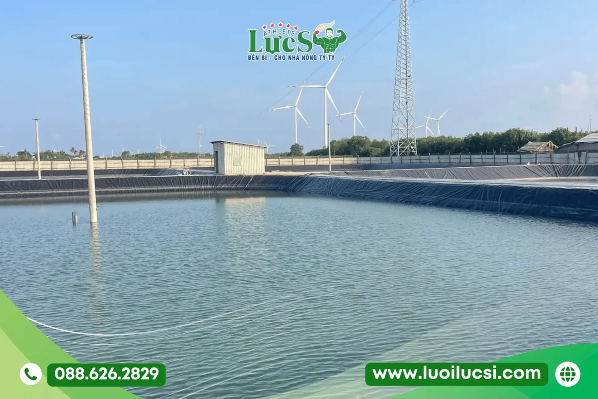 Tại Sao Bạt HDPE Là "Chìa Khóa" Cho Nuôi Trồng Thủy Sản Bền Vững?