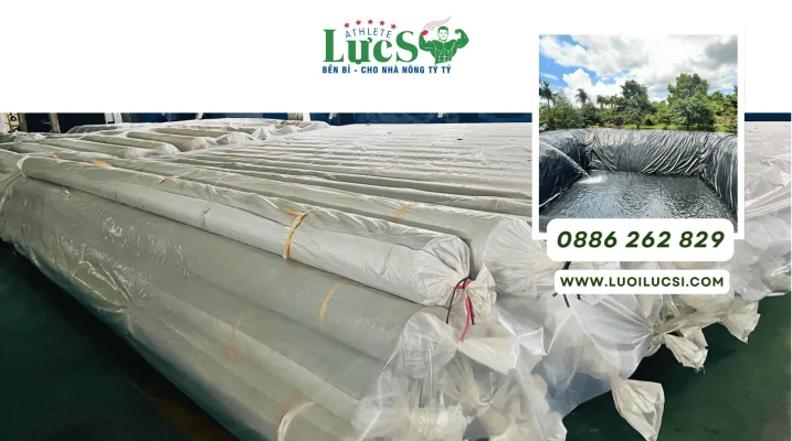 Mua Bạt HDPE Ở Đâu Uy Tín? Lựa Chọn Đối Tác Cung Ứng Cho Dự Án Lớn