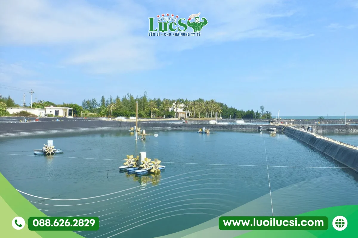 Tiêu Chuẩn Chất Lượng Bạt HDPE 1mm Lực Sĩ