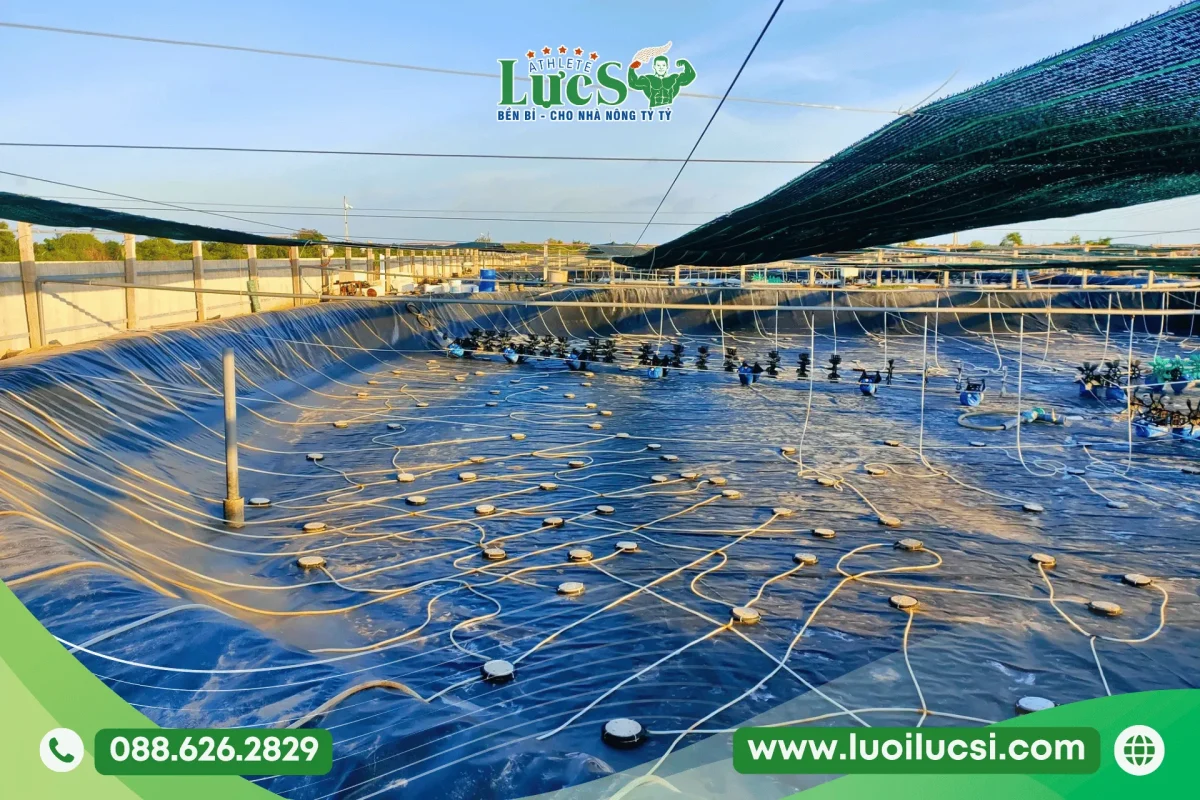 Quy Trình Đặt Hàng Và Cung Ứng Bạt HDPE 1mm Tại Nhà Máy