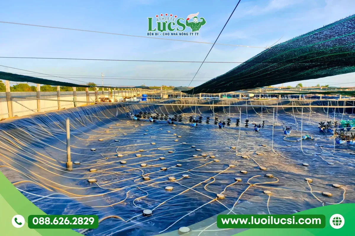 Nhà Máy Cung Ứng Bạt HDPE Hà Nội – Gia Công Khổ Theo Yêu Cầu Uy Tín