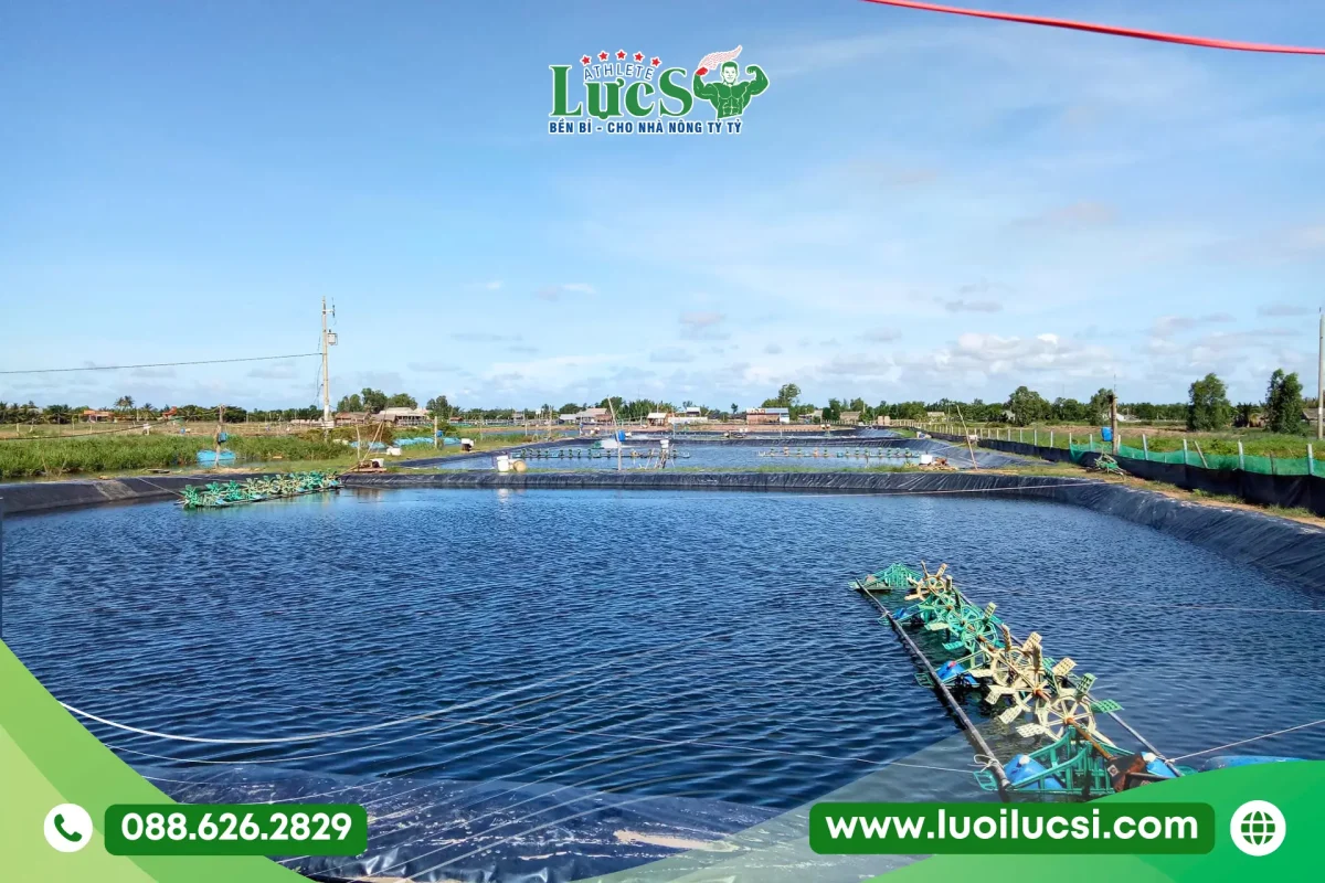Tiêu Chí Lựa Chọn Nhà Máy Cung Ứng Bạt Hdpe Uy Tín Tại Hà Nội