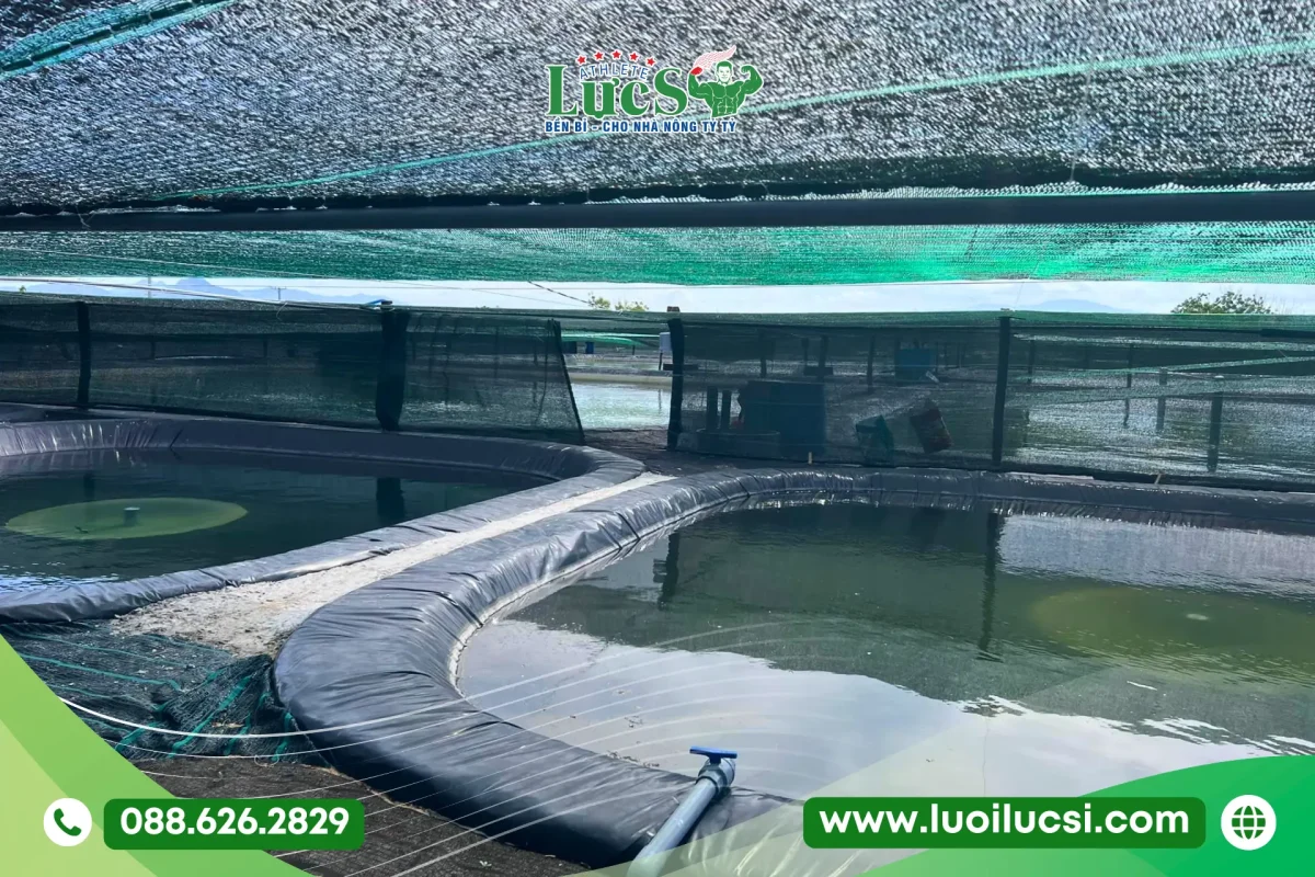 Năng Lực Cung Ứng Bạt HDPE Cho Thị Trường Hà Nội & Miền Bắc