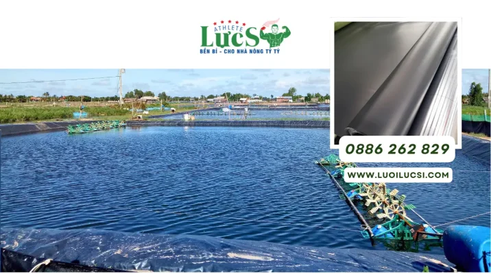 Nhà Máy Cung Ứng Bạt HDPE Tại Hà Nội – Gia Công Khổ Theo Yêu Cầu Uy Tín
