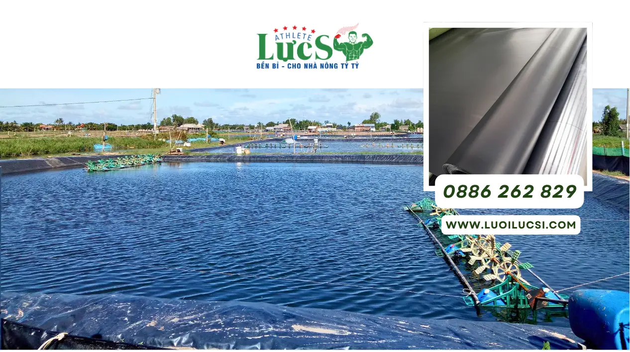Nhà Máy Cung Ứng Bạt HDPE Tại Hà Nội – Gia Công Khổ Theo Yêu Cầu Uy Tín