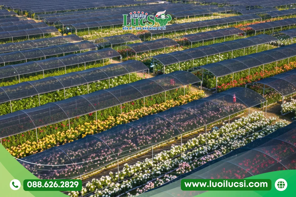 Tại Sao Lưới Che Nắng Đài Loan Lại Được Các Dự Án Nông Nghiệp Lớn Tin Dùng? 1 Lưới Che Nắng Đài Loan Là Gì? Sự Khác Biệt Từ Công Nghệ Dệt Kim