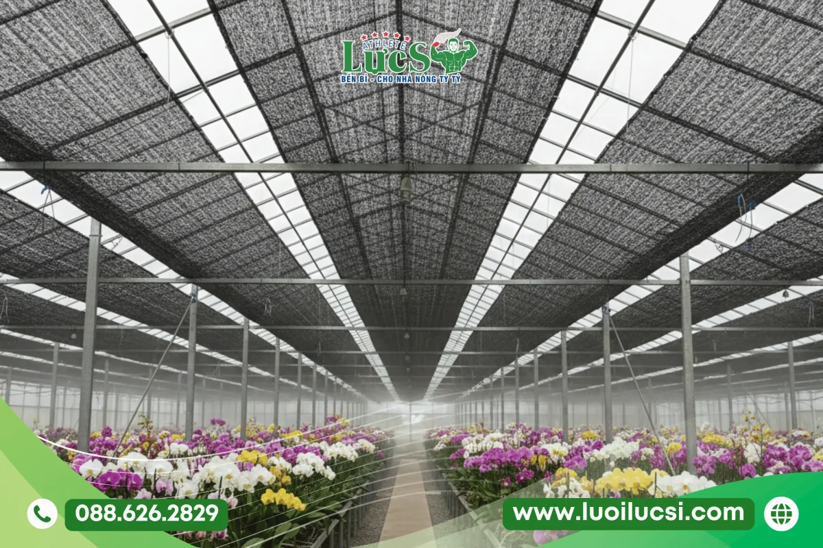 Lưới Che Nắng Màu Đen Sản Xuất Theo Yêu Cầu - Cung Cấp Số Lượng Lớn 3 Dịch Vụ Gia Công, Sản Xuất Lưới Che Nắng Màu Đen Theo Yêu Cầu Tại Lực Sĩ