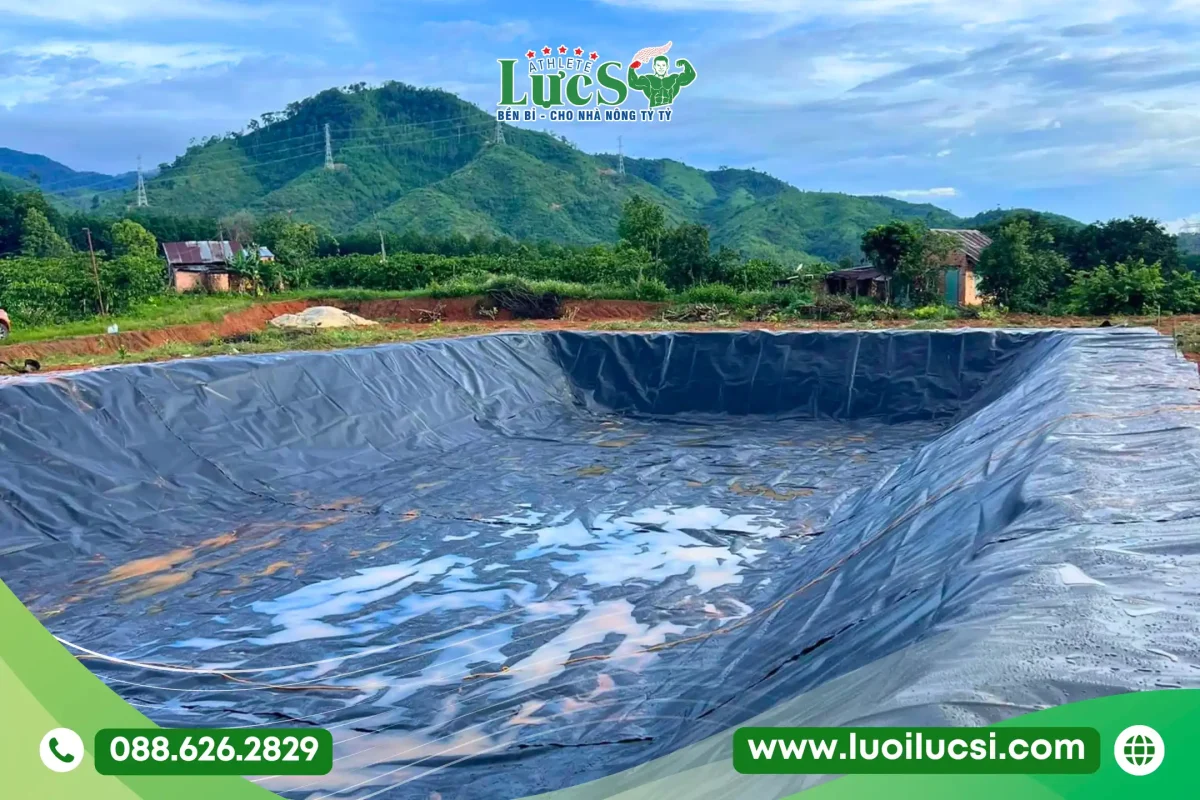 Bạt Lót Hồ Chứa Nước HDPE | Lựa Chọn Số 1 Cho Vùng Chuyên Canh Mùa Khô 1 Bạt Lót Hồ Chứa Nước HDPE | Lựa Chọn Số 1 Cho Vùng Chuyên Canh Mùa Khô