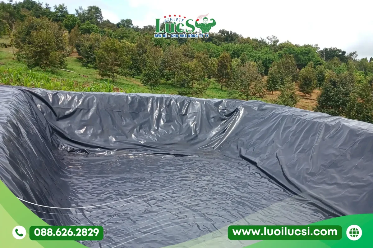 Bạt Lót Hồ Chứa Nước HDPE | Lựa Chọn Số 1 Cho Vùng Chuyên Canh Mùa Khô 3 Vì Sao Bạt Lót Hồ Chứa Nước HDPE Là Sự Lựa Chọn Số 1?