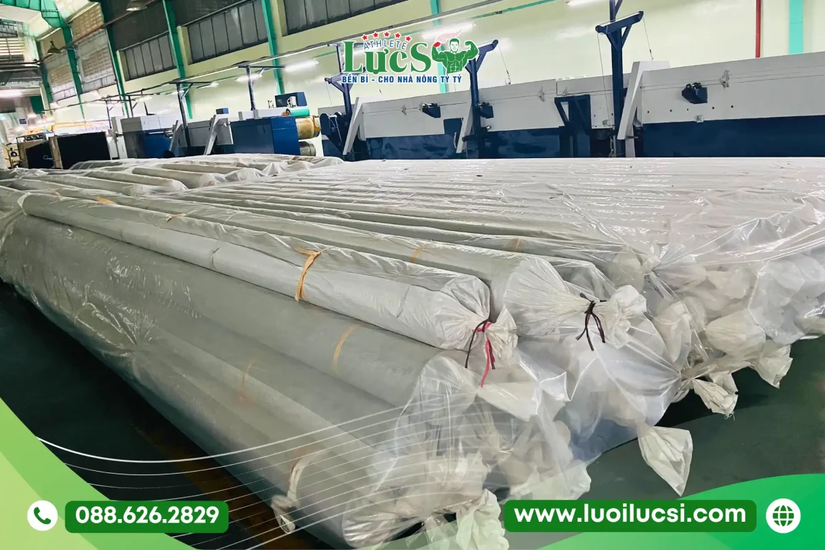 Bạt Lót Hồ Chứa Nước HDPE | Lựa Chọn Số 1 Cho Vùng Chuyên Canh Mùa Khô 4 Lưới Lực Sĩ - Đơn Vị Cung Cấp Bạt Lót Hồ Chứa Nước HDPE Chuẩn Dự Án