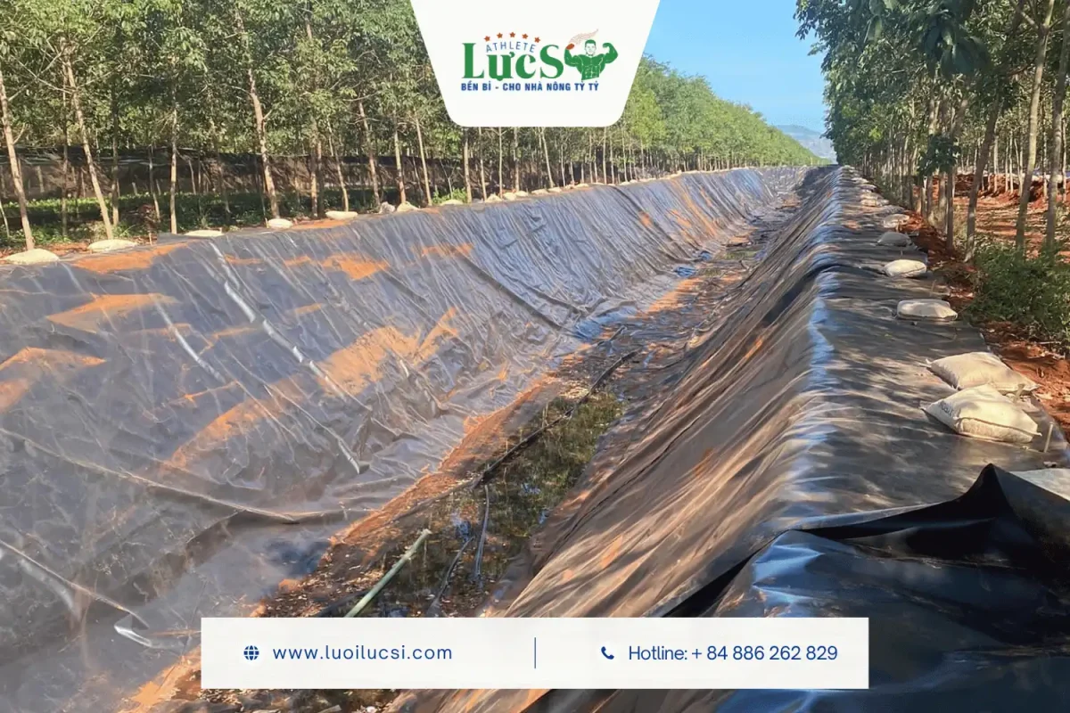 Cách Tính Toán Diện Tích Bạt HDPE Làm Hồ Chứa Nước Cho Trang Trại Quy Mô Hecta 4 Chủ Farm Nên Chọn Bạt HDPE Độ Dày Bao Nhiêu Cho Hồ Tưới?