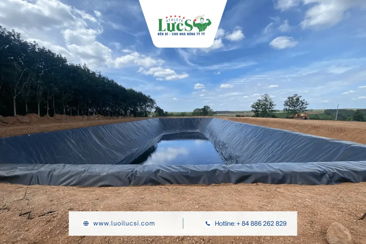 Cách Tính Toán Diện Tích Bạt HDPE Làm Hồ Chứa Nước Cho Trang Trại Quy Mô Hecta 3 Ví Dụ Tính Bạt HDPE Thực Tế Cho Hồ Tưới Sầu Riêng 1000m^3