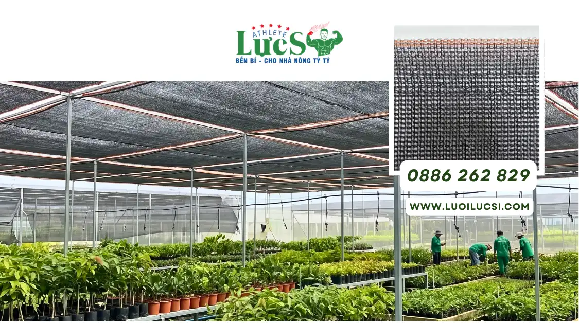 Những Lưu Ý "Vàng" Khi Chọn Mua Lưới Che Nắng Mono Cho Vườn Ươm, Nhà Kính