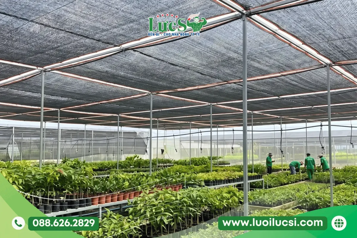 Những Lưu Ý "Vàng" Khi Chọn Mua Lưới Che Nắng Mono Vườn Ươm, Nhà Kính 3 4 Lưu Ý "Vàng" Khi Chọn Mua Lưới Che Nắng Mono Cho Vườn Ươm, Nhà Kính