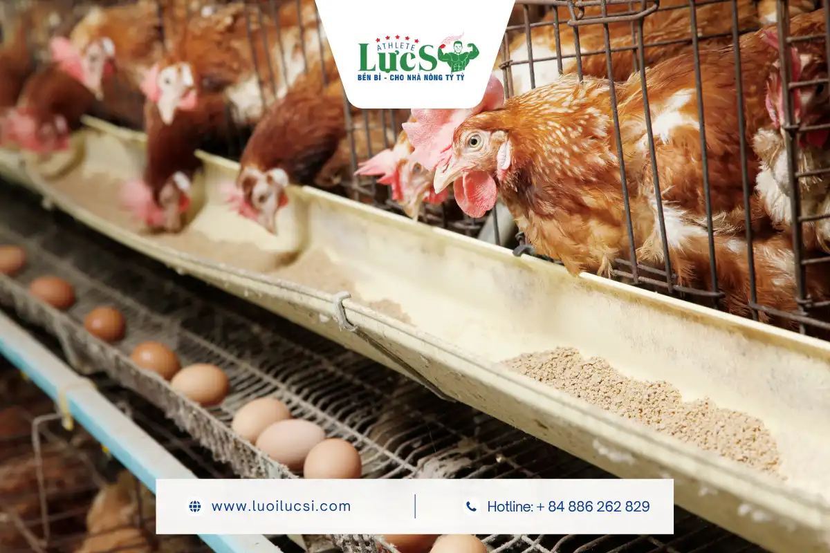 Cách Xử Lý Nước Thải Chăn Nuôi Tránh Ô Nhiễm Mạch Nước Ngầm Triệt Để 1 Vì Sao Nước Thải Chăn Nuôi Là Mối Đe Dọa Với Mạch Nước Ngầm?