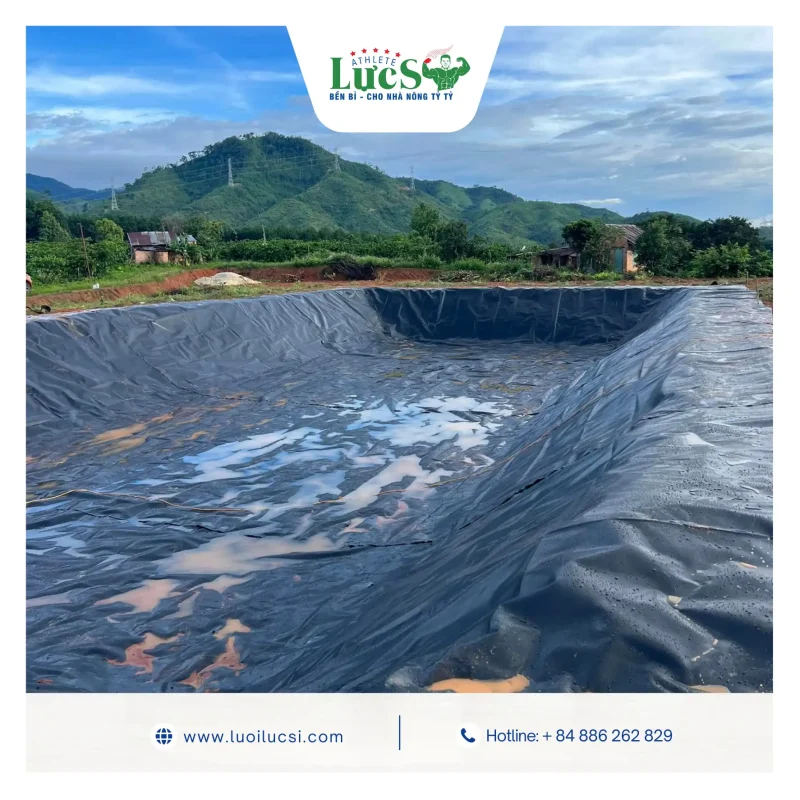 HDPE Geomembrane Manufacturer in Vietnam – Factory Direct Export 2 HDPE Geomembrane Manufacturer in Vietnam – Factory Direct Export