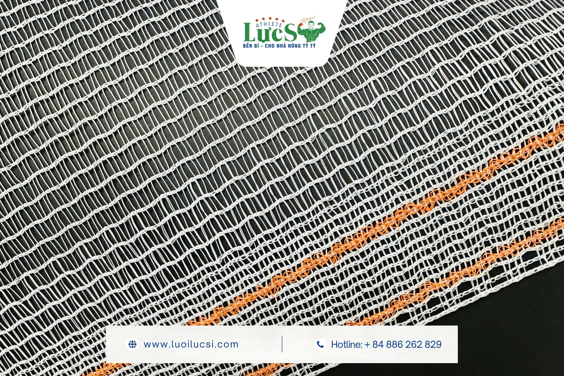 Anti Bee Netting | Features, Benefits and Modern Agricultural Applications