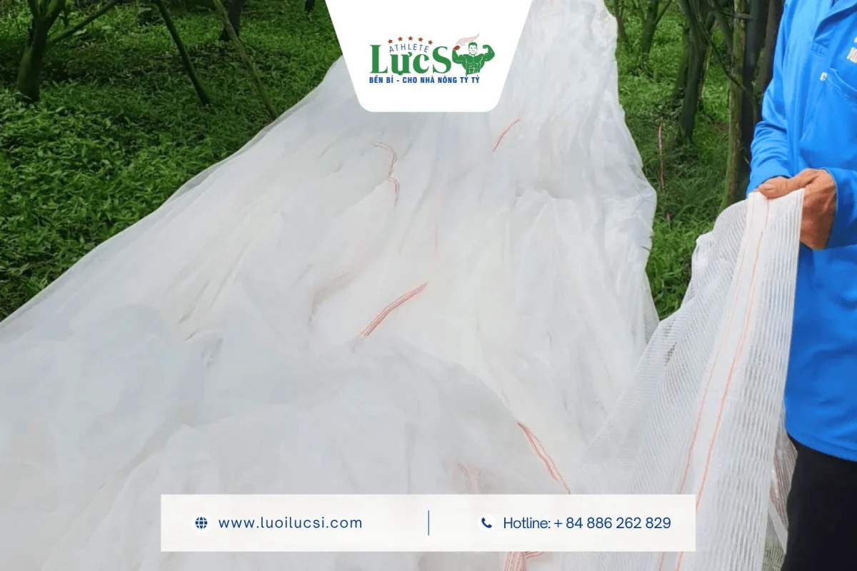 Anti Bee Netting | Features, Benefits and Modern Agricultural Applications 1 What is Anti Bee Netting? Key Features & Specifications