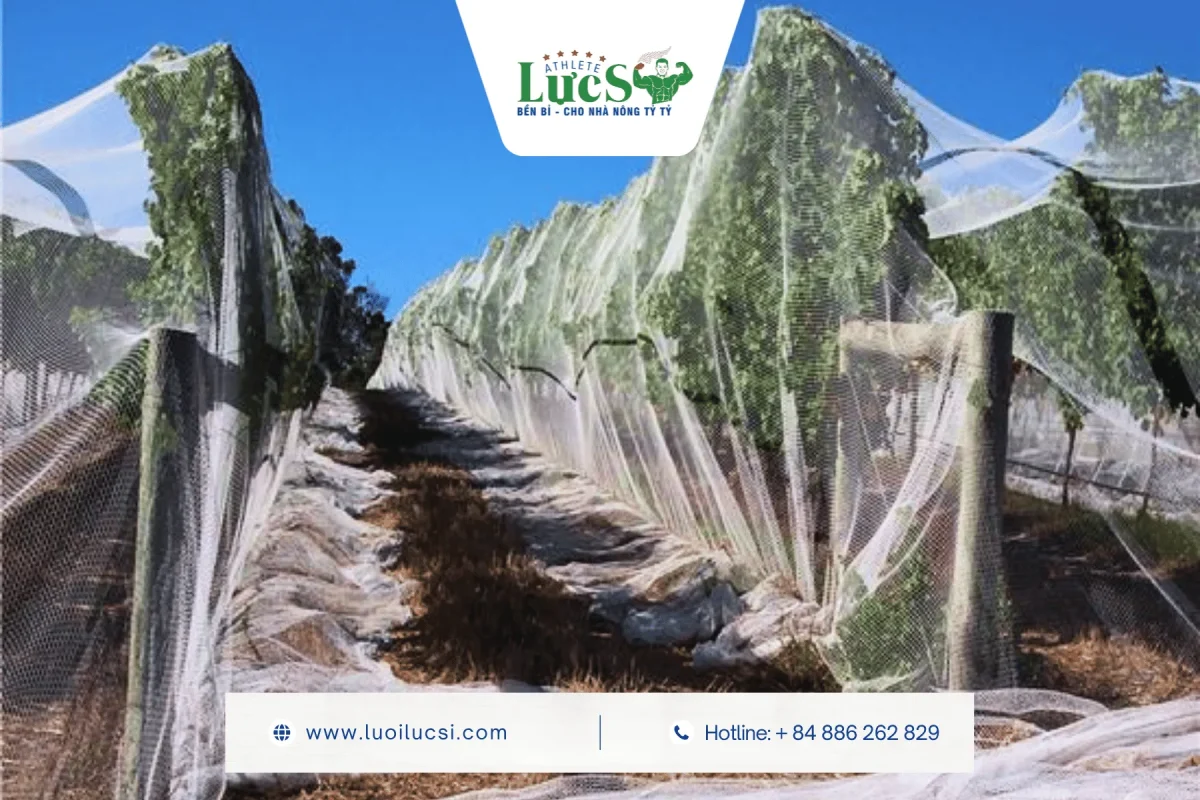 Anti Bee Netting | Features, Benefits and Modern Agricultural Applications 3 Major Agricultural Applications of Anti Bee Netting